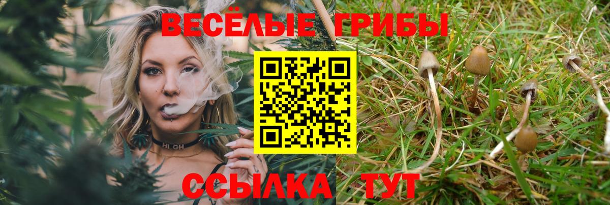 Галлюциногенные грибы мицелий Борисоглебск